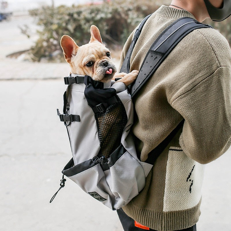 Dog Backpack for Outdoor Travel