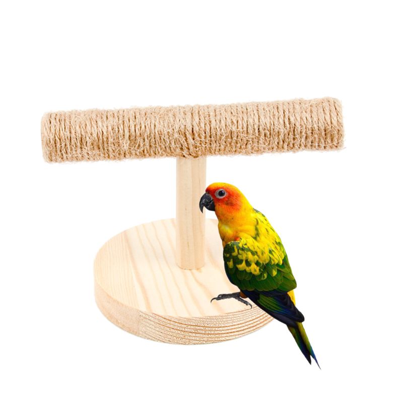 Parrot Wooden Tabletop