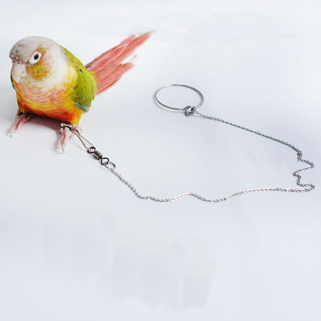 Parrot Foot Chain Stainless Steel