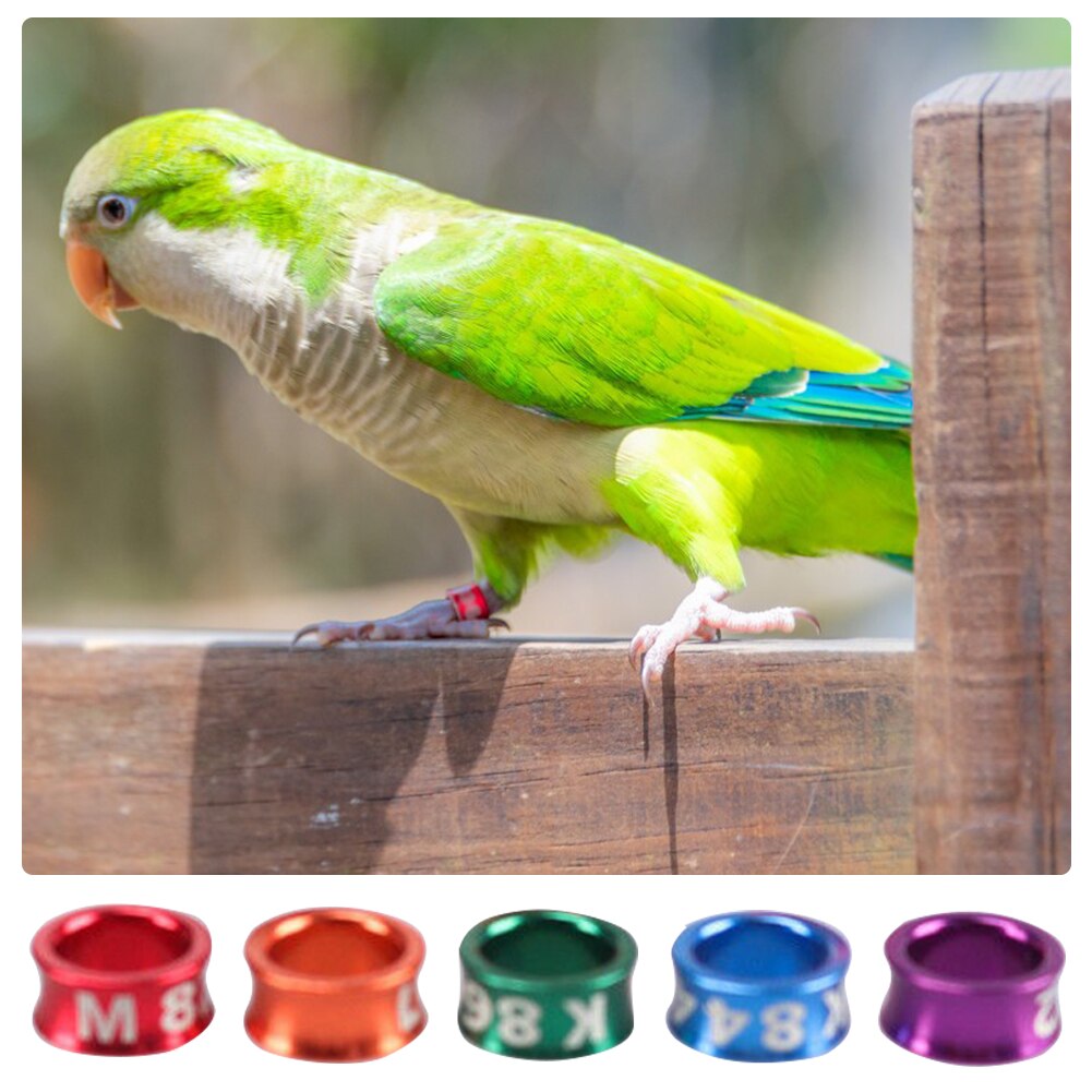 Aluminum Bird Parrots Foot Ring