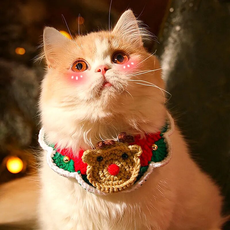 Christmas Cat Collar Clothes