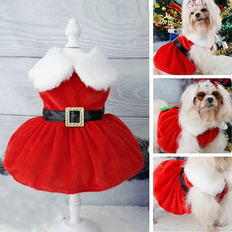 Christmas Dog Dress