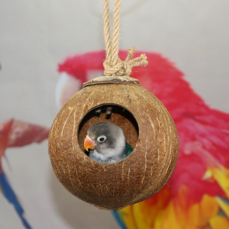 Coconut Shell Bird Cage