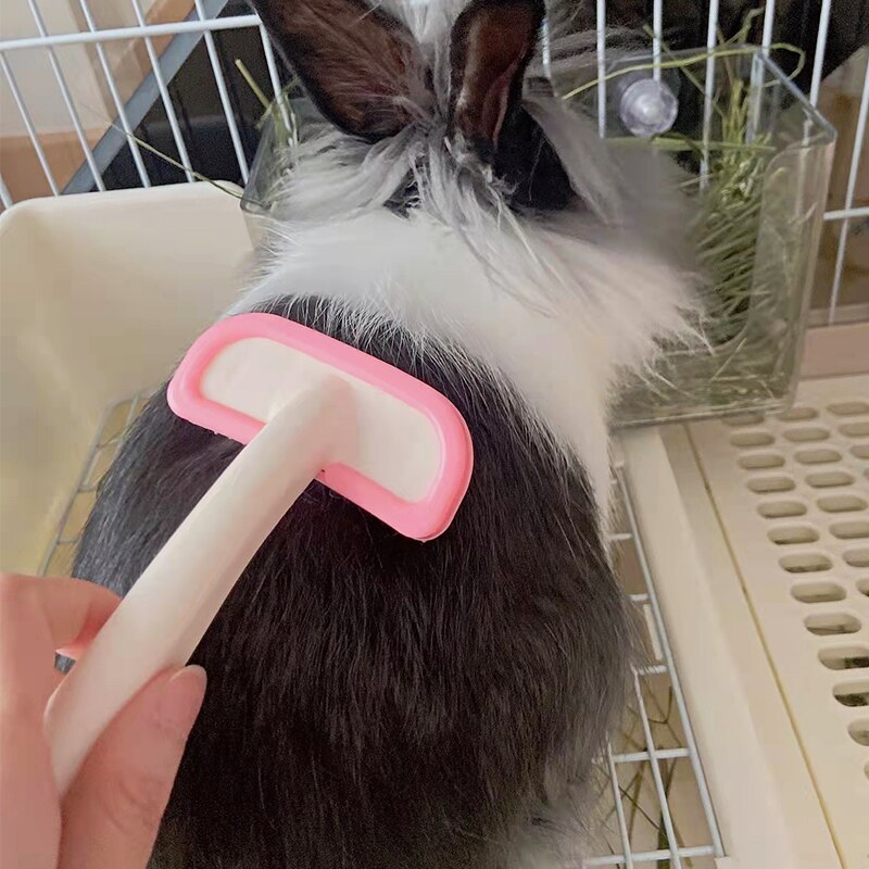 Rabbit Comb Grooming