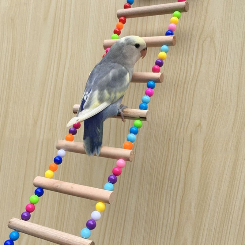 Birds Ladders Climbing Toy