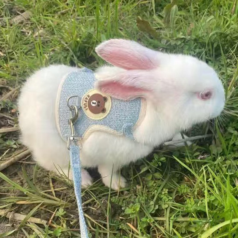 Cute Rabbit Harness
