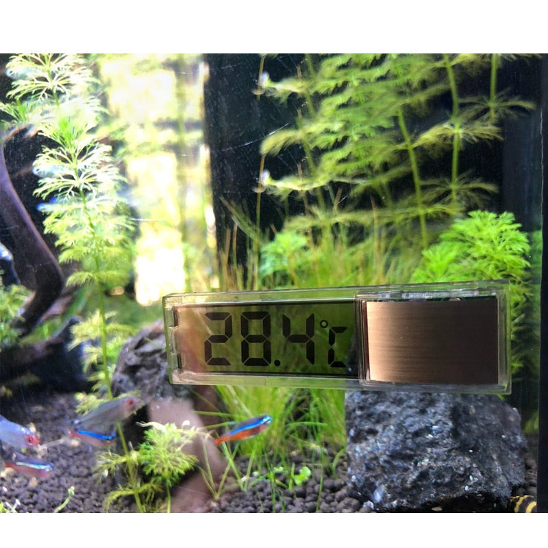 Aquarium Thermometer Electronic