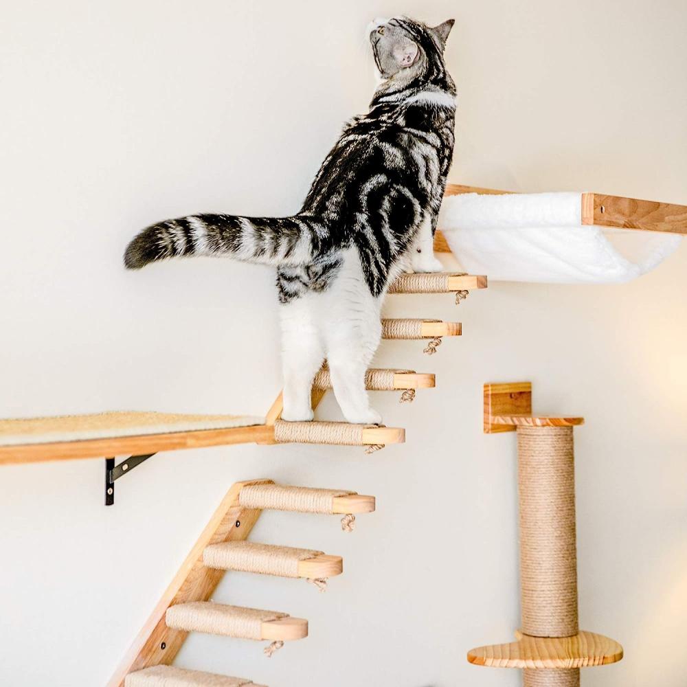 Wall-Mounted Cat Climbing Frame