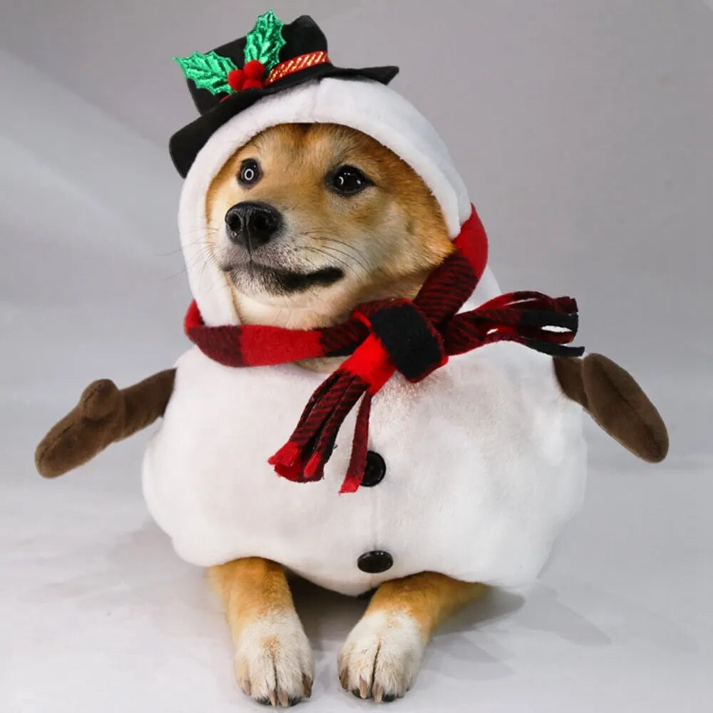 Christmas Snowman Cosplay