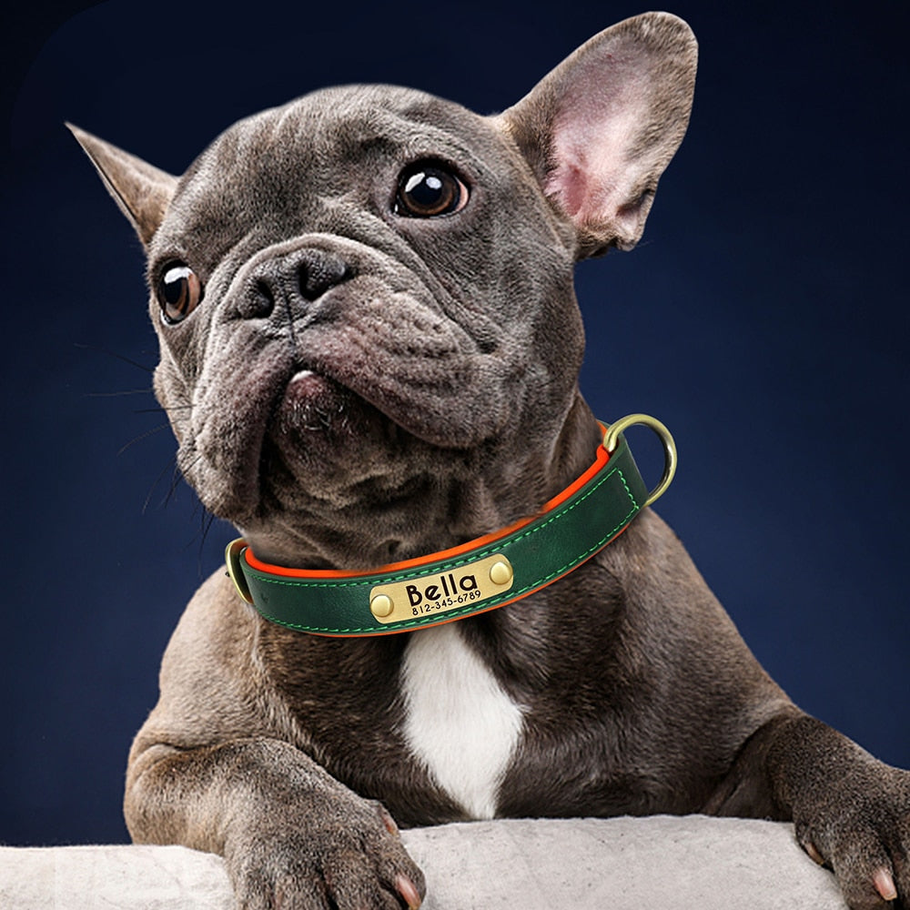 Custom Leather ID Dog Collar