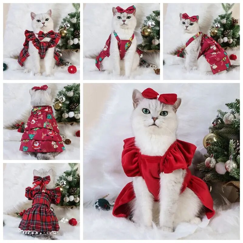 Cat Dress Christmas
