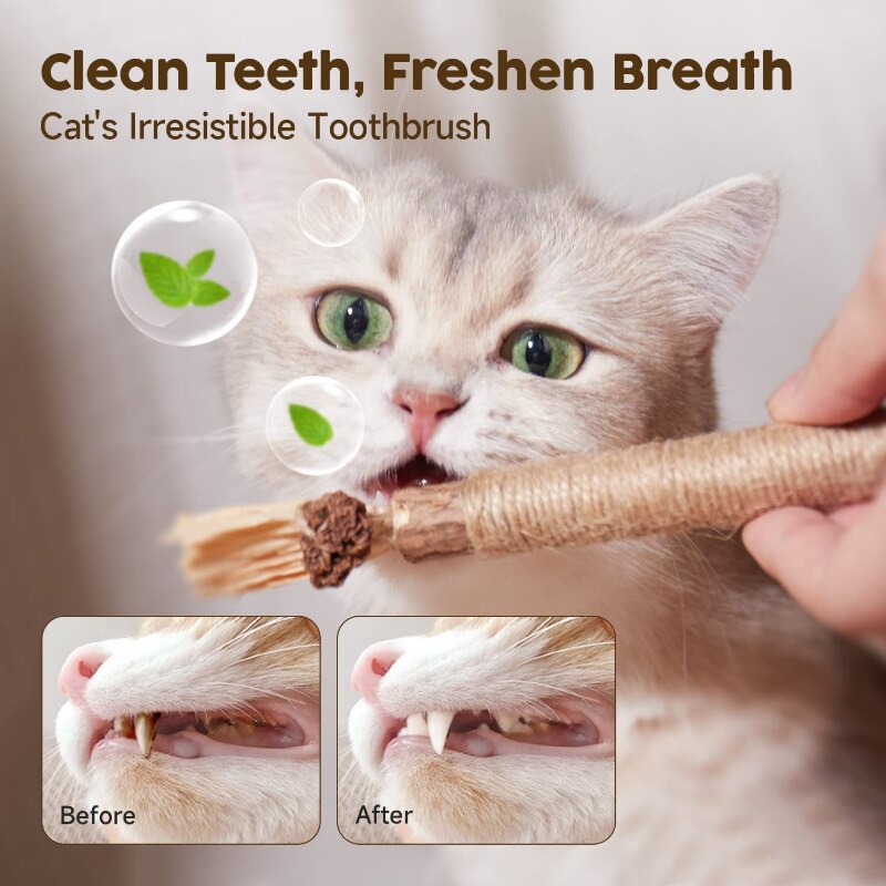 Cat Toys Silvervine Chew Stick
