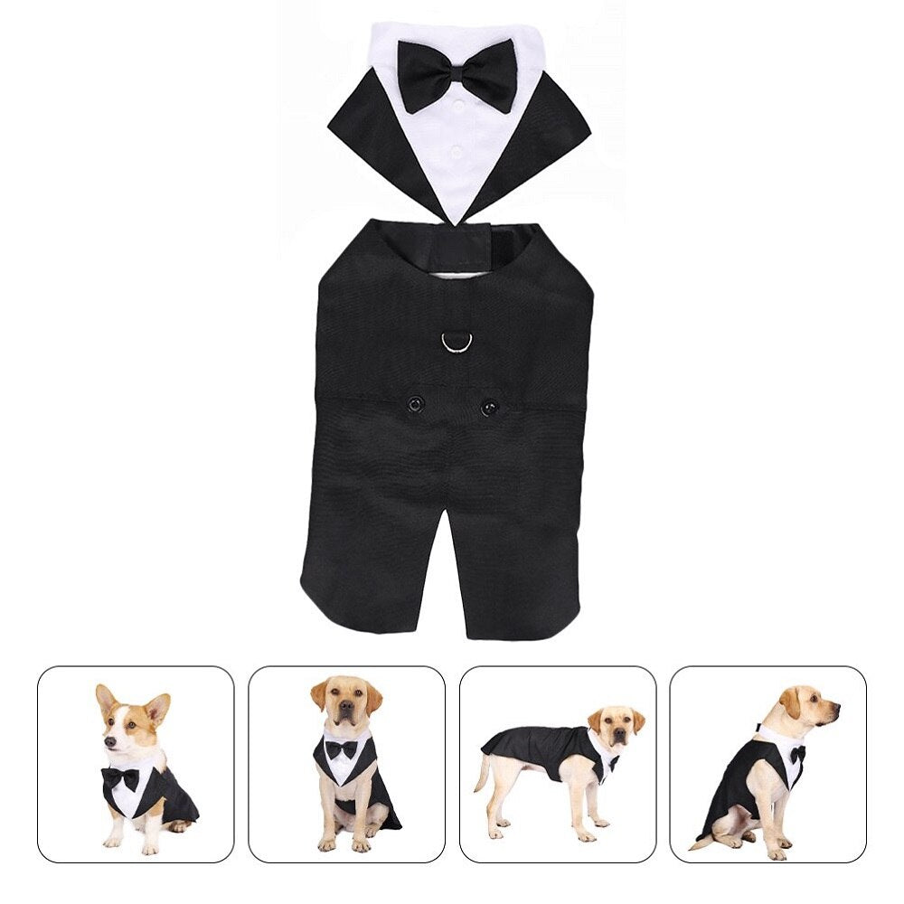 Dog Formal Wedding Black Shirt Tailcoats