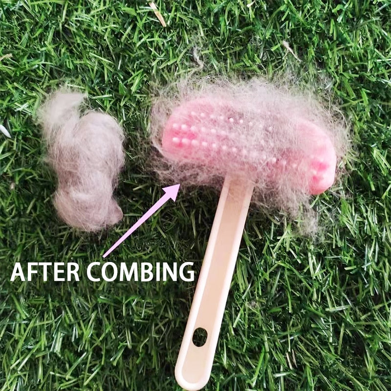 Rabbit Comb Grooming