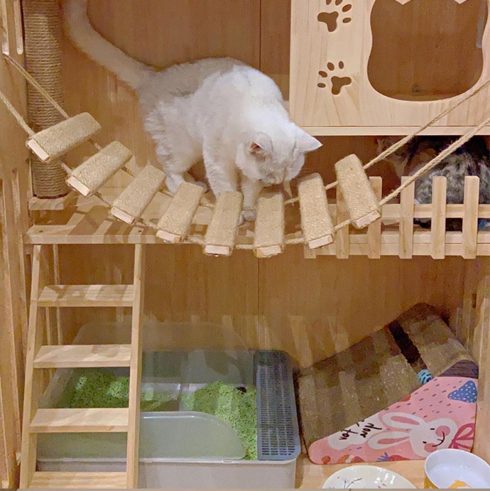 Wall-Mounted Cat Climbing Frame