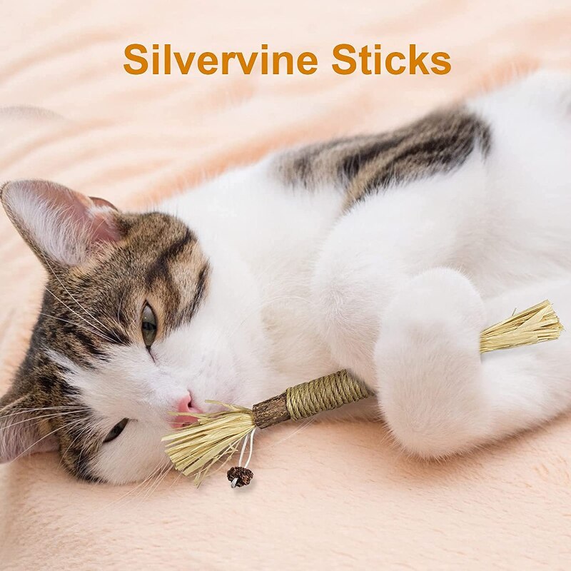 Cat Toys Silvervine Chew Stick