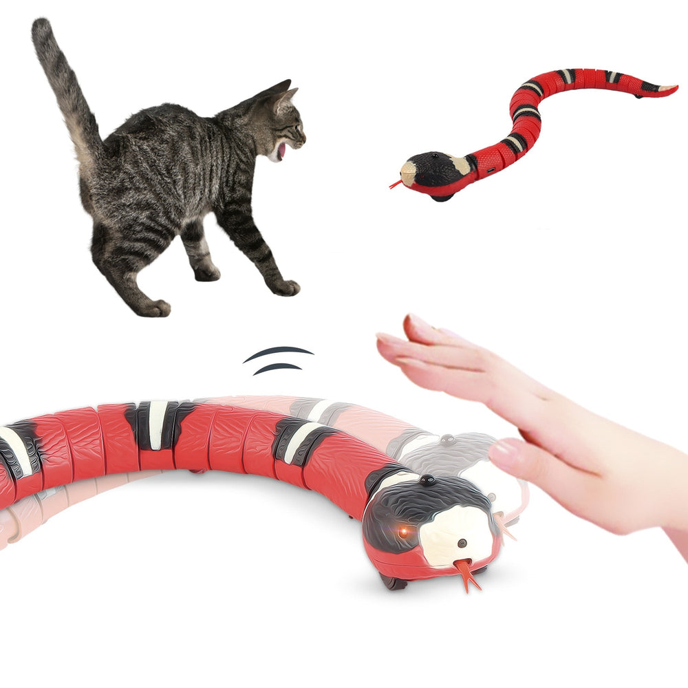 Electronic Snake Cat Teaser