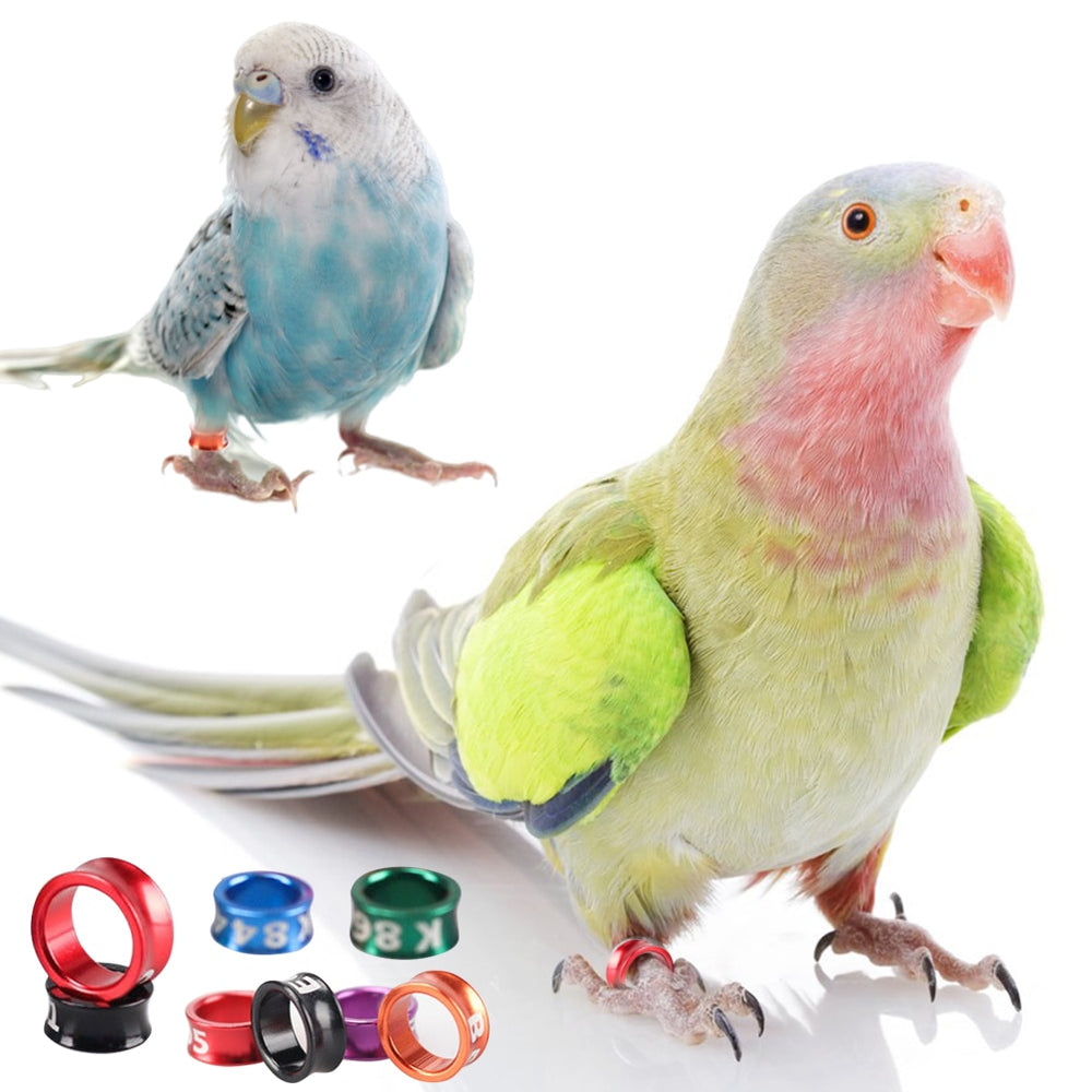Aluminum Bird Parrots Foot Ring