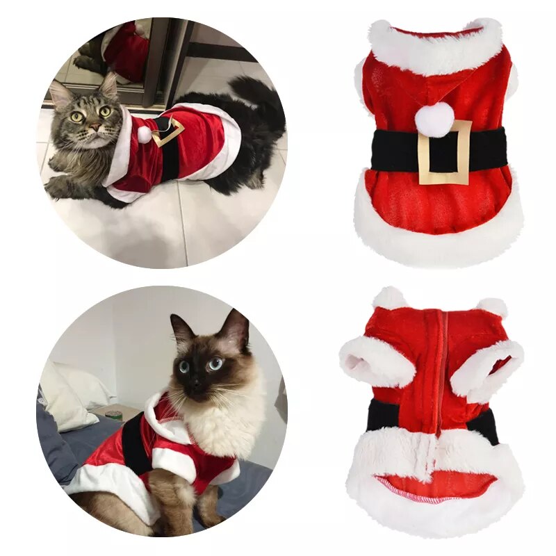 Cat Christmas Winter Costume