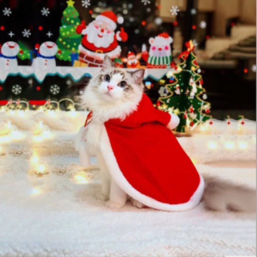 Cat Santa Cloak
