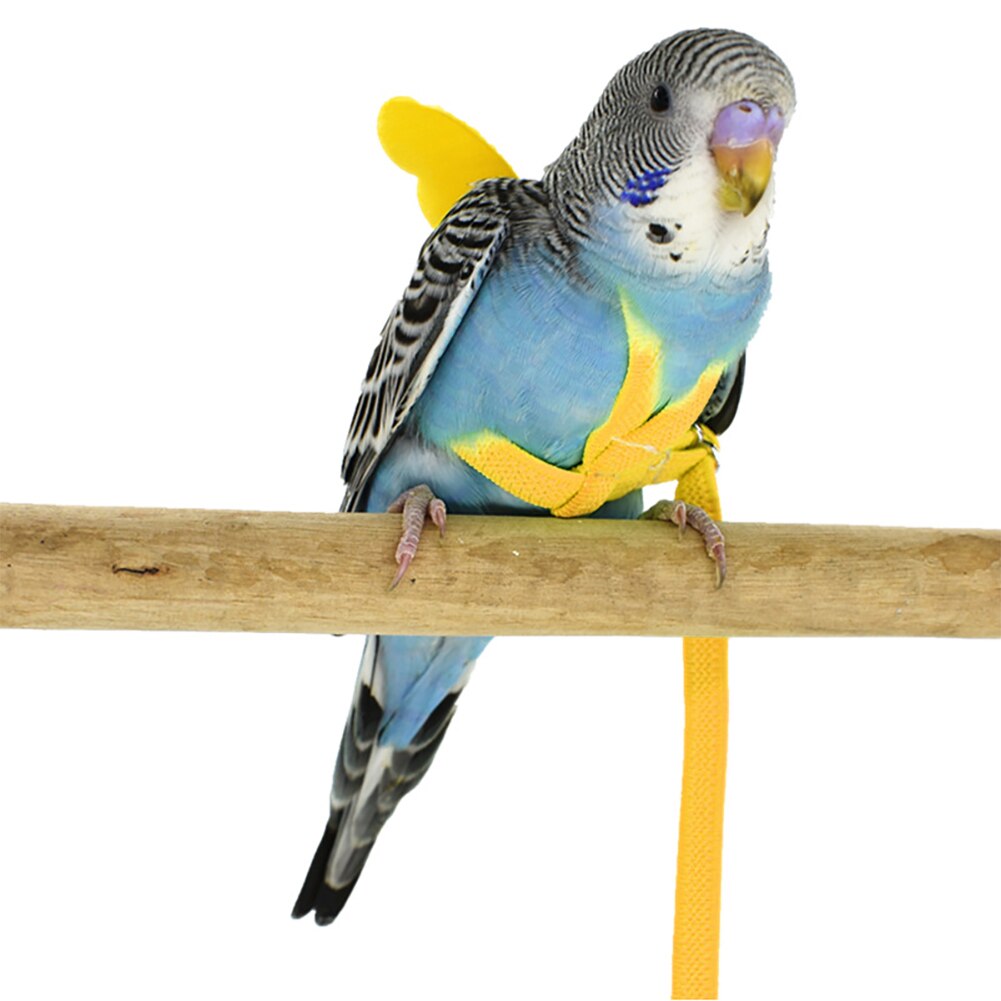 Adjustable Pet Parrot Harness