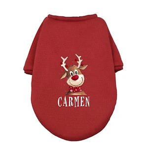 Personalized Dog Christmas Clothes