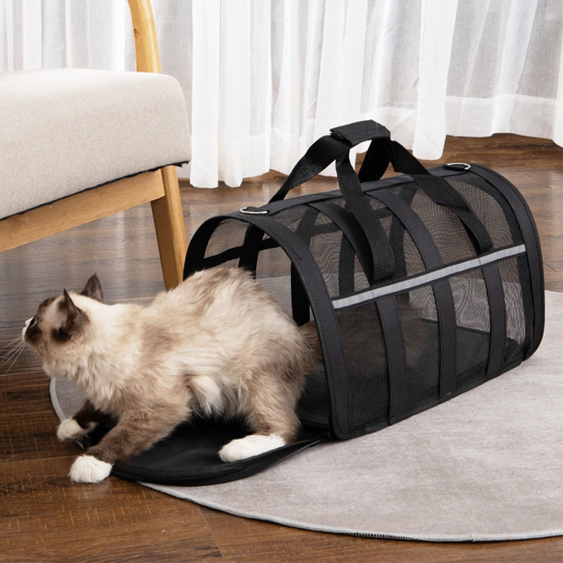 Portable Cat Backpack