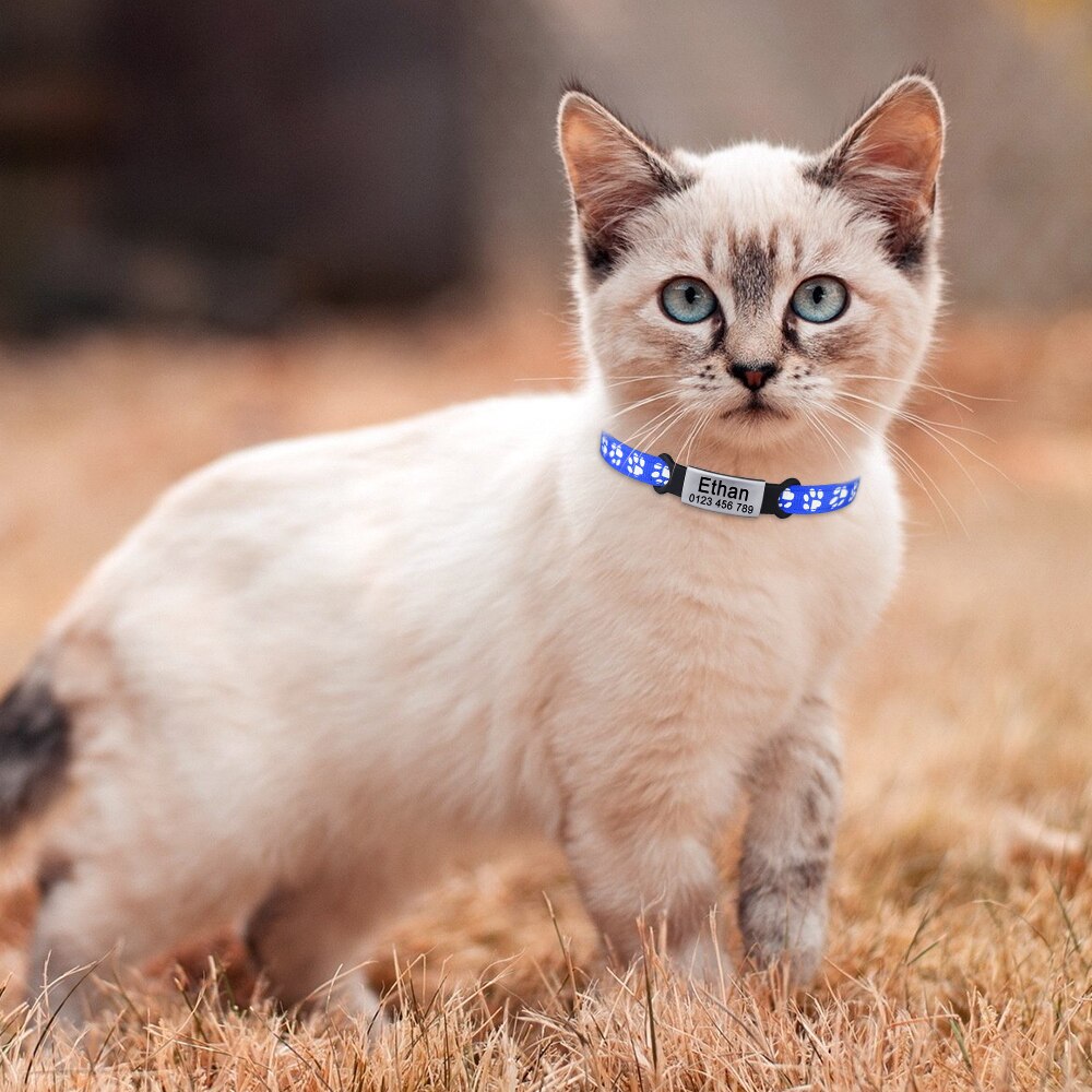 Adjustable Nylon Cat Collar