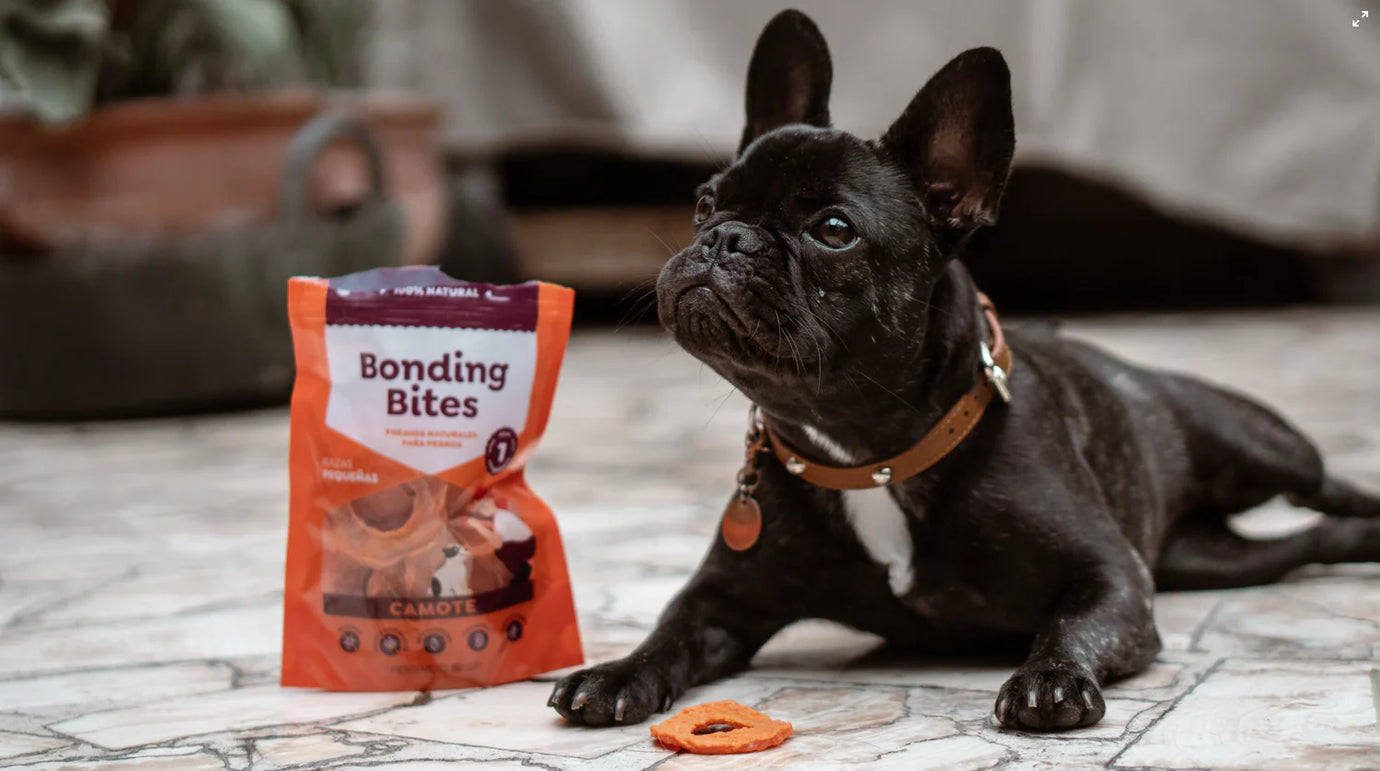 The best nutrition for your furry friend