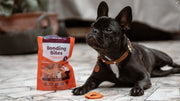 The best nutrition for your furry friend