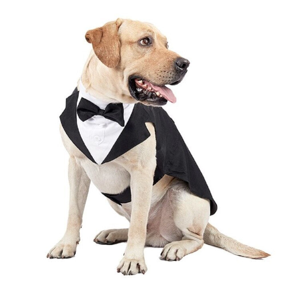 Dog Formal Wedding Black Shirt Tailcoats