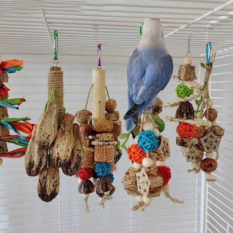 Colorful Parrot Molar Toy