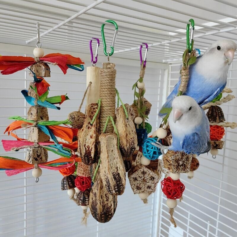 Colorful Parrot Molar Toy