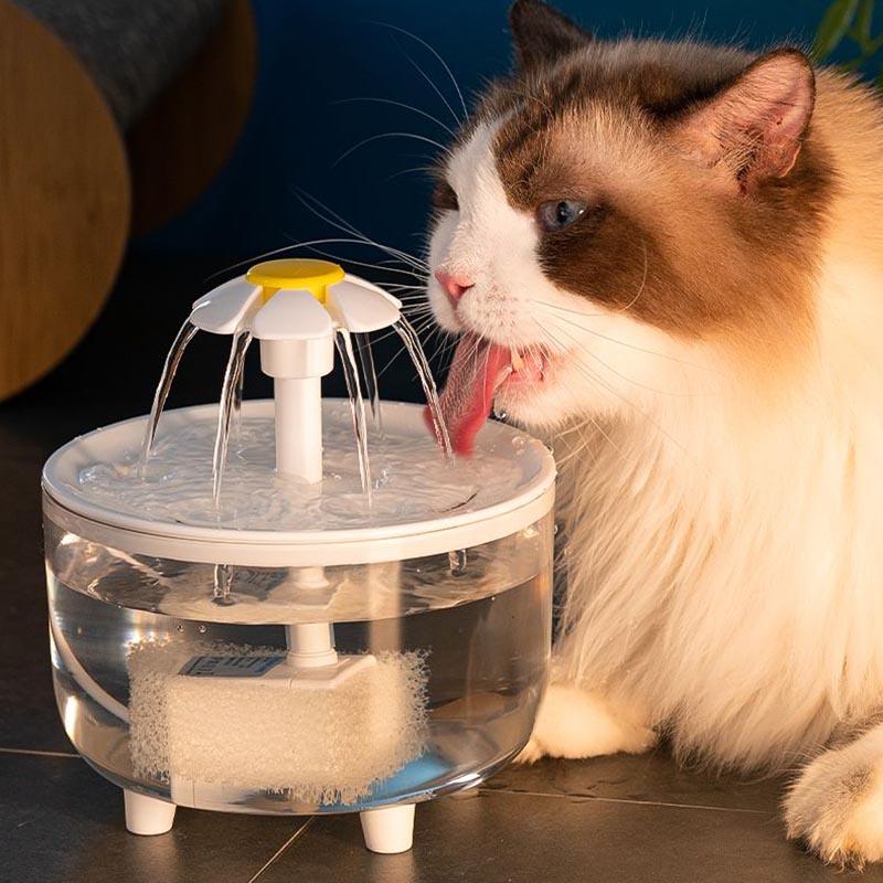 Automatic Cat Drink Bowl