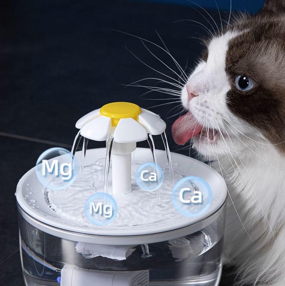 Automatic Cat Drink Bowl